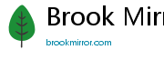 Brook Mirror